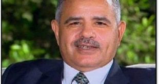 الأستاذ الدكتور دسوقى عبد الحليم
