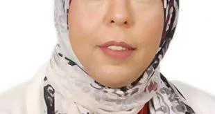 د ميسه صلاح