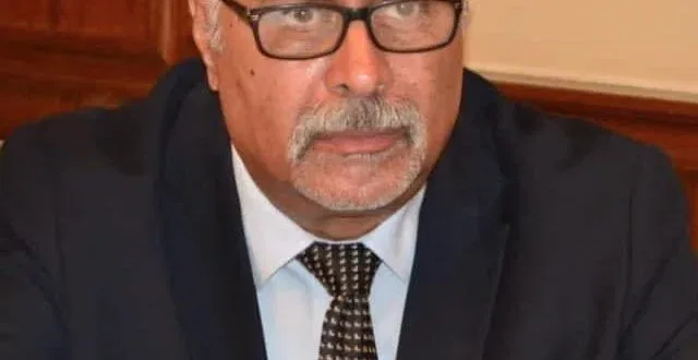 د. م. هشام سعد الشربيني