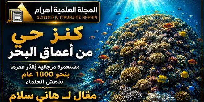 بقيت حية منذ 1800 عام.. اكتشاف يثير دهشة العلماء