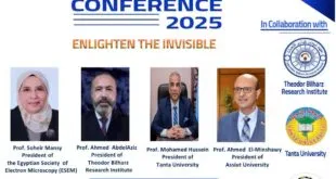 دور الميكروسكوب الإلكتروني في إظهار غير المرئي